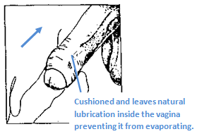 Valve Mechanism - Natural Interourse