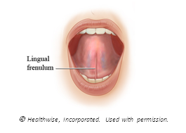 Tongue Inside Foreskin