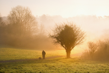 Walking with a Dog